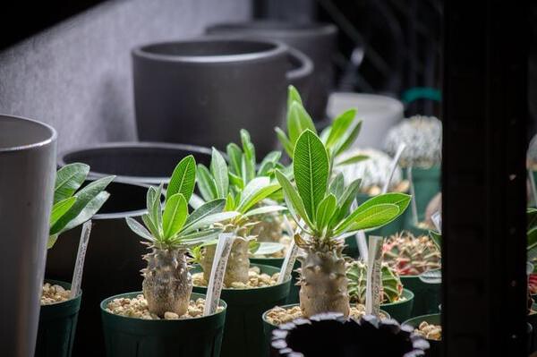 心一つ・ai美容室