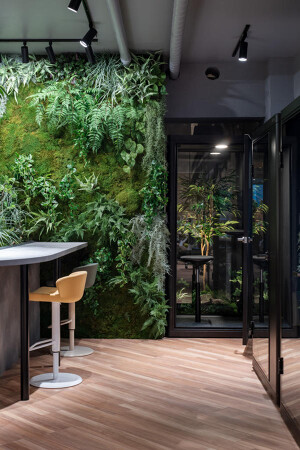 EIJU office