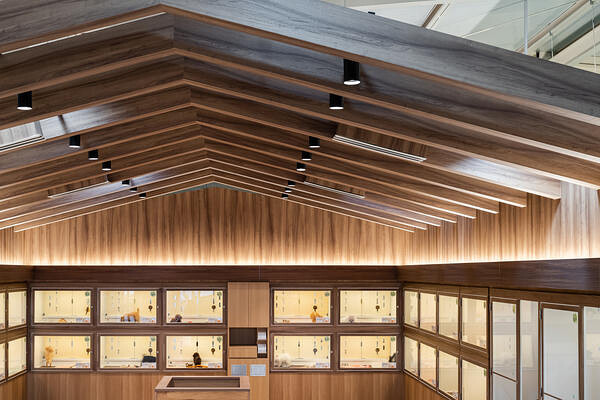 犬の家　近江八幡店