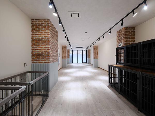 School of Dog　大阪靭公園店