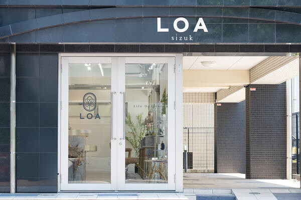LOA  life on art