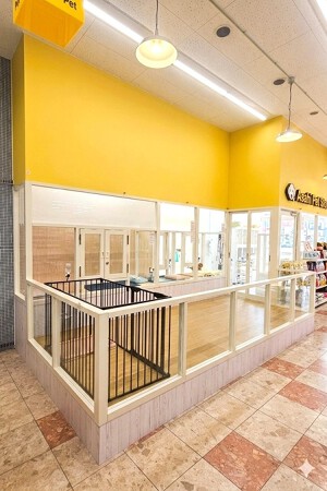アサヒペット都築店