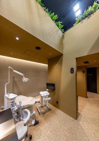 NEO ToothLand（横浜ゆうみらい小児歯科・矯正歯科）