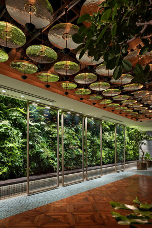 LUFTBAUM　28F パート１