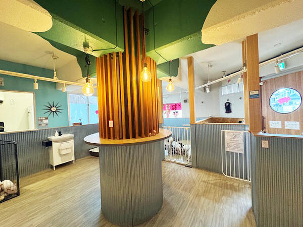 m Little Pigs Cafe