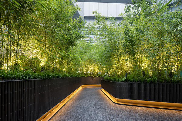 LUFTBAUM　28F　パート５