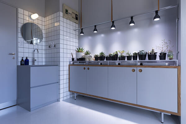 AGAVE INTERIOR OFFICE/SHOWROOM