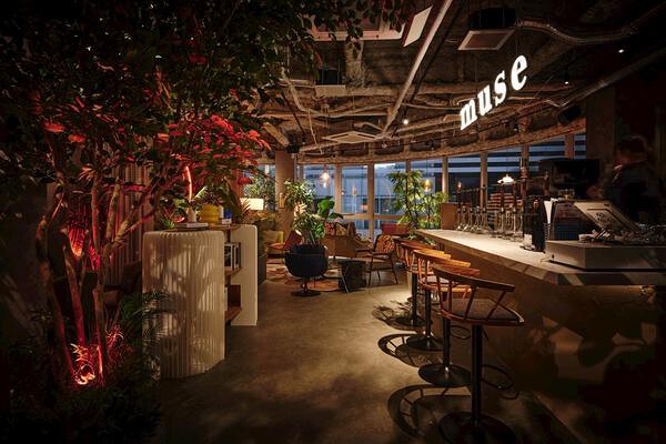 シーシャカフェ&バー muse 天王寺店