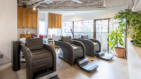 arbre hair design