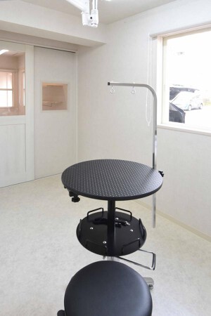Lykke -dogsalon-