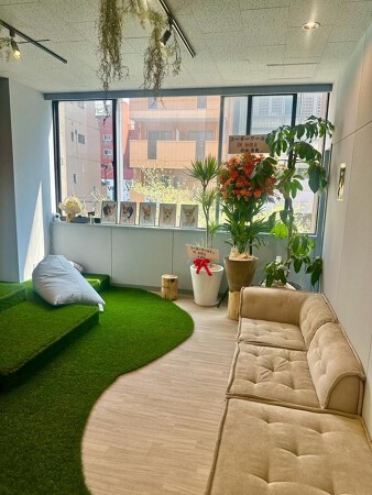 コーギーワールド