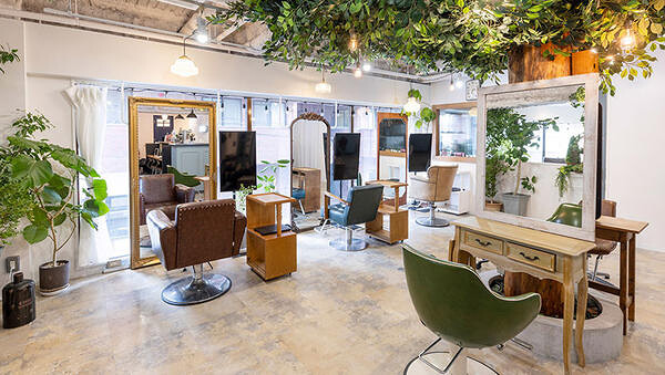 arbre hair design