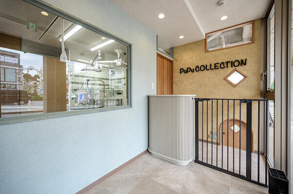 PuPu COLLECTION 自由が丘店