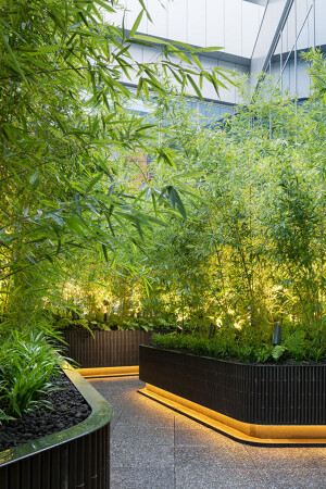 LUFTBAUM　28F　パート５