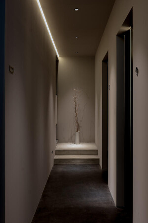 INAI