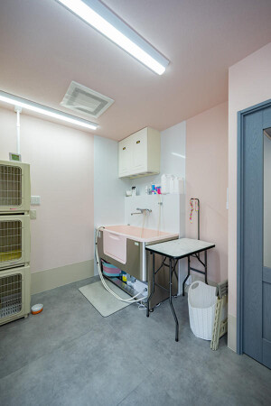 PET SALON REPOS
