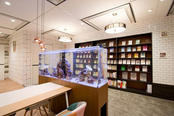 EXPERT OFFICE