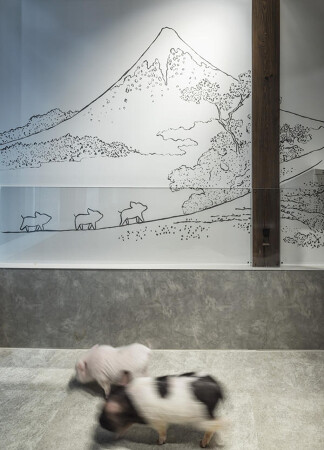 pignic浅草店