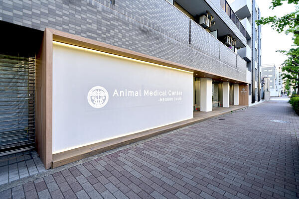 動物医療センター目黒中央