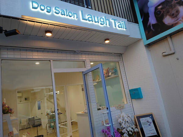Dog Salon Laugh Tail