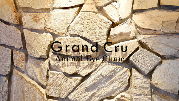 Grand Cru Animal Eye Clinic