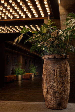 LUFTBAUM　２Fエントランス