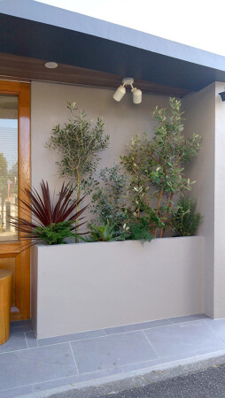 動物医療センター世田谷中町