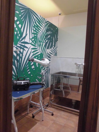 ペットサロン　ラキ