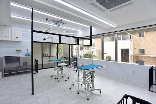 dog salon FACET