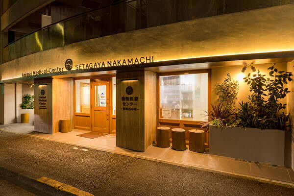 動物医療センター世田谷中町