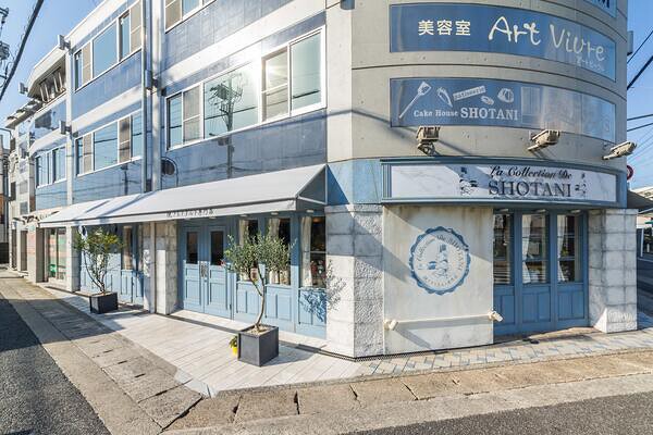 La Collection De SHOTANI