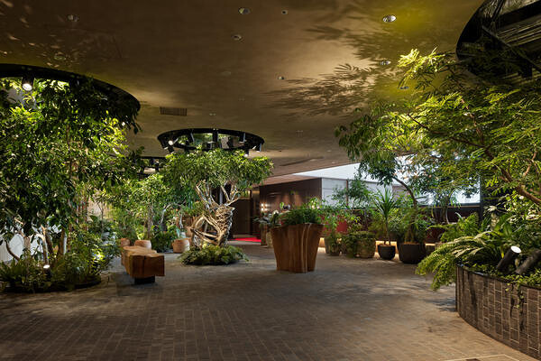 LUFTBAUM　28F　パート２