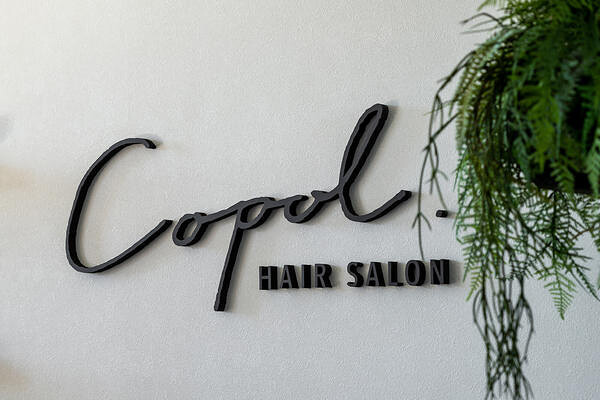hair salon Copol