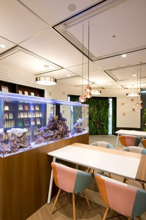 EXPERT OFFICE