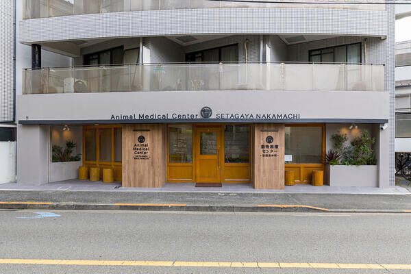 動物医療センター世田谷中町