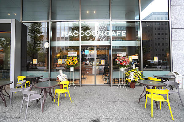 Raccoon Cafe 宝町店