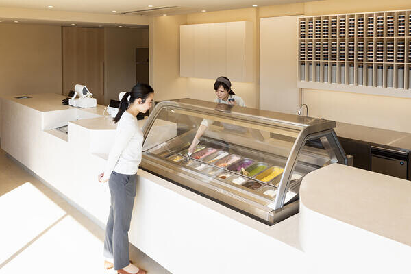 GELATERIA solege