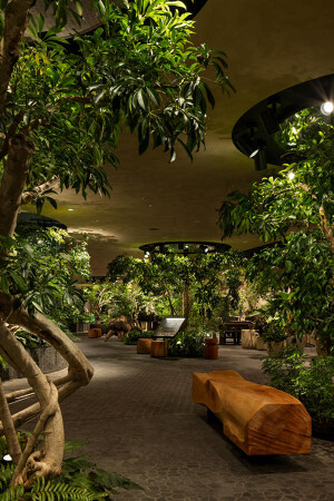 LUFTBAUM　28F　パート２