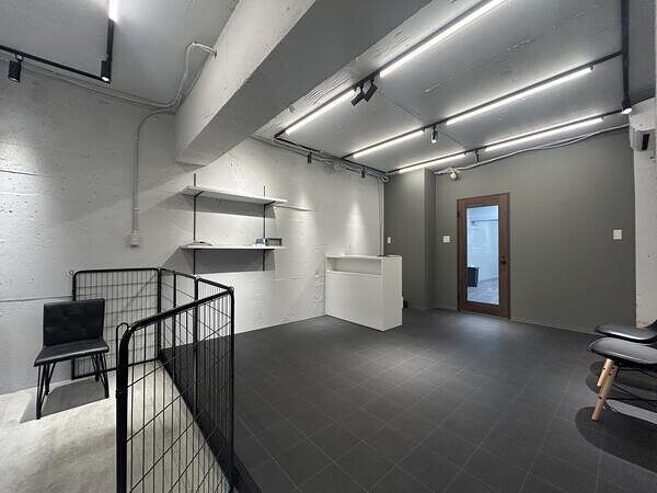 DOGSALON AnnMerry