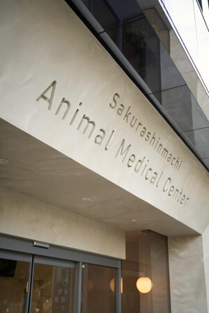 桜新町動物医療センター