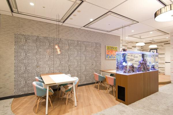 EXPERT OFFICE