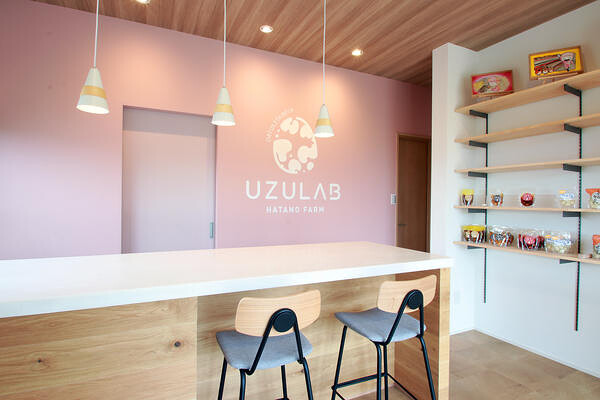 UZULAB