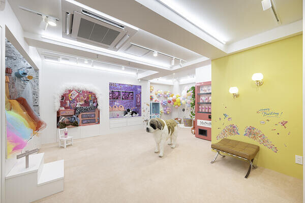 MoNoRi by REOCHE RU SAKURA