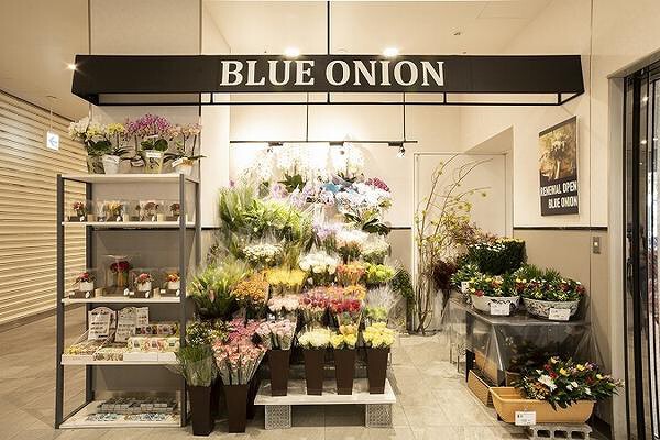 BLUE ONION 野田阪神ウイステ店