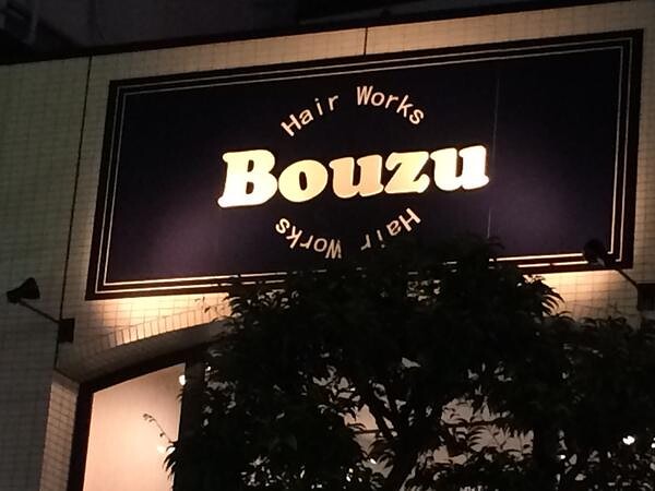 Bouzu HairWorks