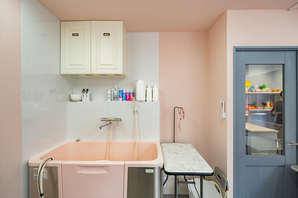 PET SALON REPOS