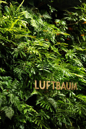 LUFTBAUM　28F パート１