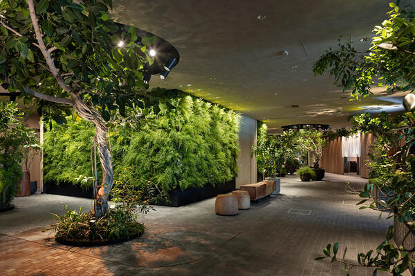 LUFTBAUM 28F パート３