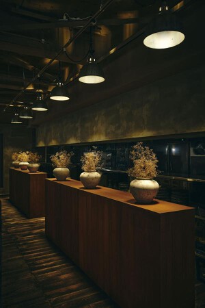 コギソウル  難波店