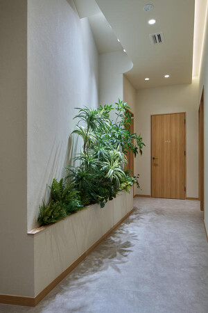 KUMA CARE CLINIC 名古屋院
